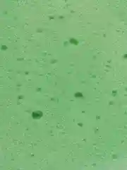 Лайм губка для мытья авто