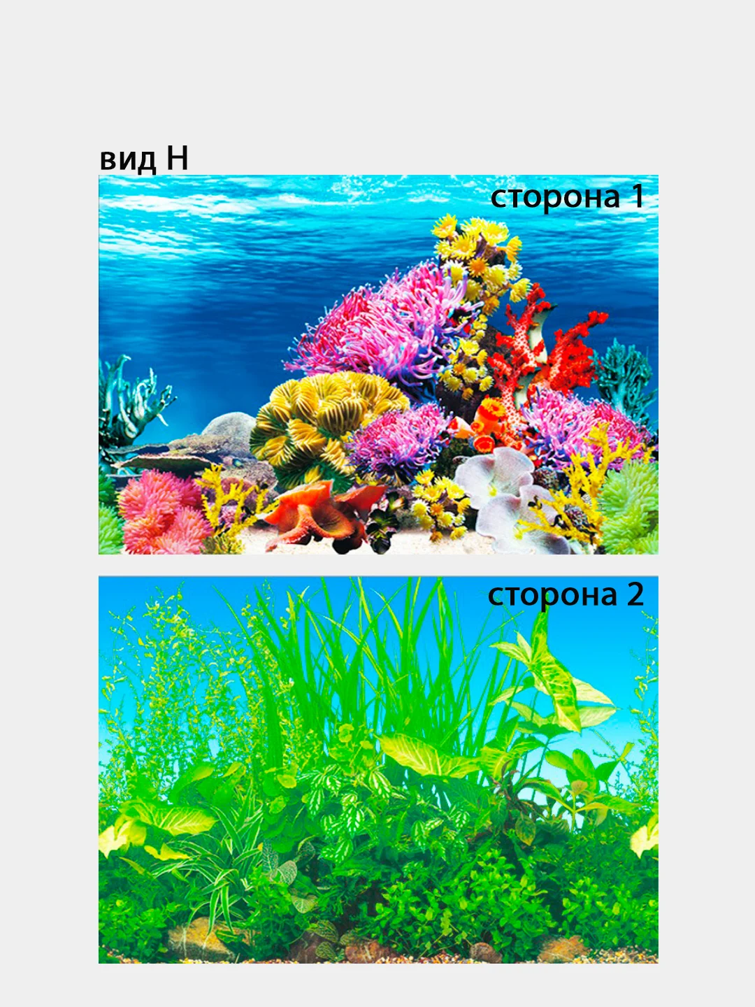 Голубой фон для аквариума, разные расцветки, 40*60 см