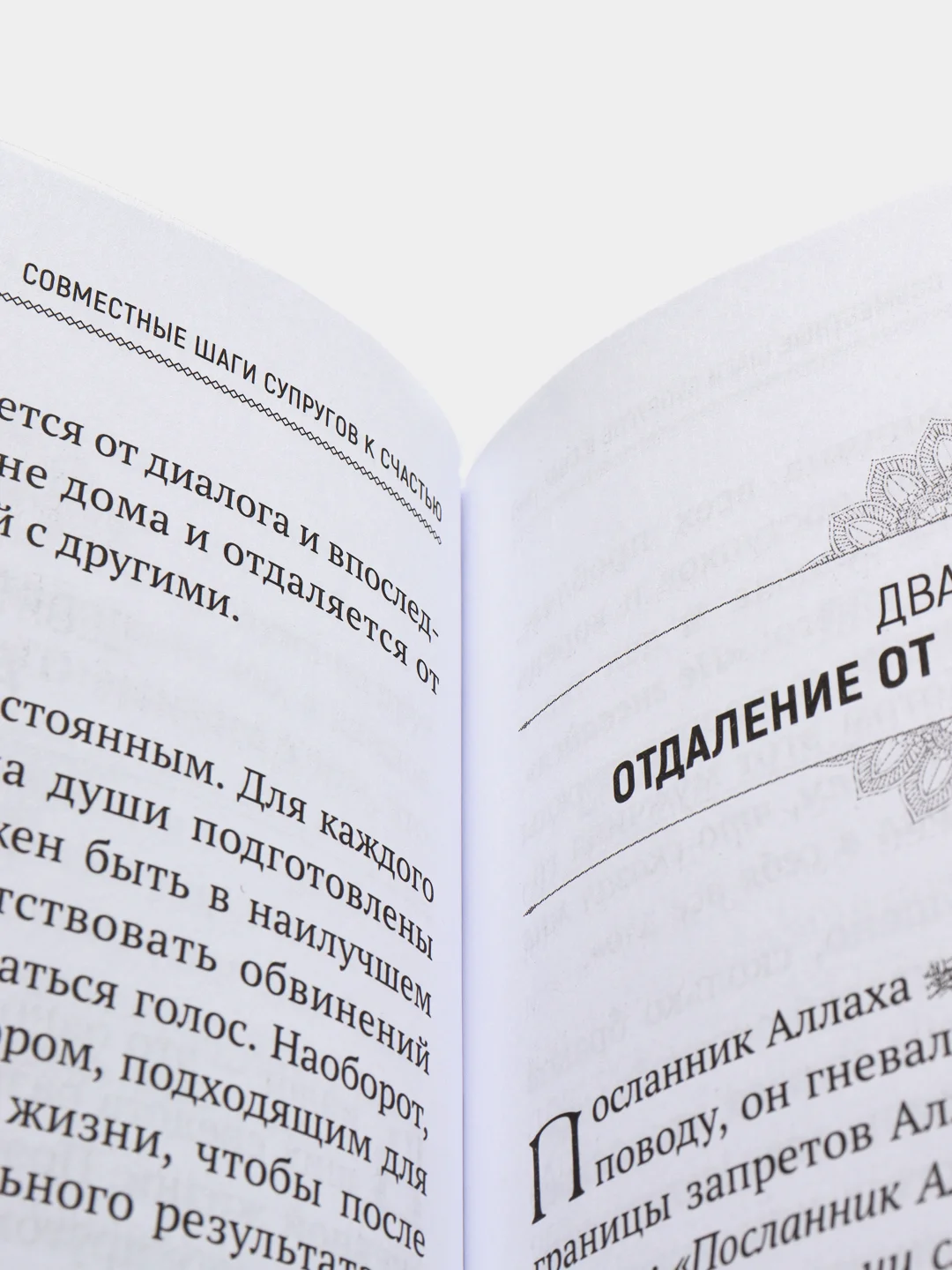 ЧИТАЙ-УММА / Книга "Самые счастливые супруги в мире". Эксклюзивная позиция