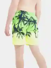 Мужские шорты