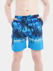 Мужские шорты