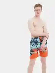 Мужские шорты