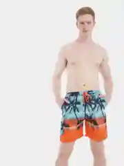 Мужские шорты