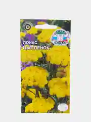 Семена Седек, лонас "Цыплёнок"