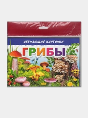 "Грибы" обучающие карточки на картоне с познавательным текстом