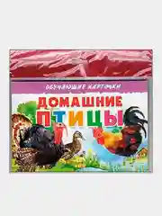 "Домашние птицы", обучающие карточки на картоне с познавательным текстом