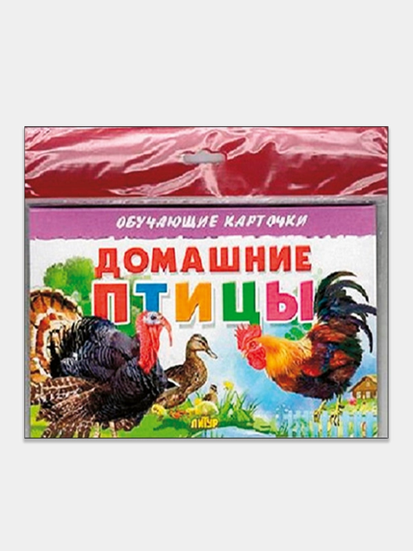 "Домашние птицы", обучающие карточки на картоне с познавательным текстом