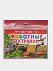 "Животные Австралии", обучающие карточки на картоне с познавательным текстом