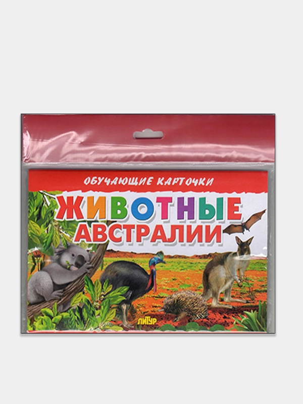 "Животные Австралии", обучающие карточки на картоне с познавательным текстом