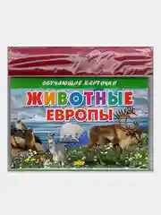 Животные Европы, обучающие карточки на картоне с познавательным текстом