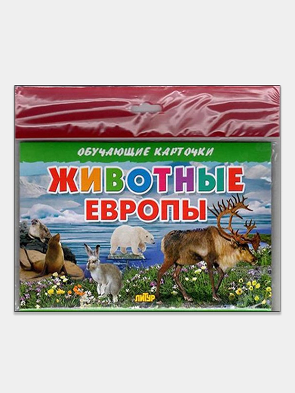 Животные Европы, обучающие карточки на картоне с познавательным текстом