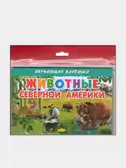 "Животные Северной Америки", обучающие карточки на картоне с познавательным текстом