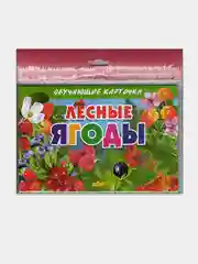 "Лесные ягоды", обучающие карточки на картоне с познавательным текстом