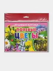 Полевые цветы, обучающие карточки на картоне с познавательным текстом