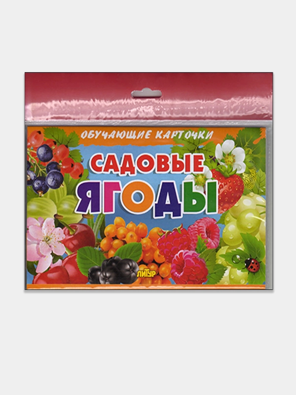 "Садовые ягоды", обучающие карточки на картоне с познавательным текстом