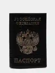 Обложка для паспорта "Под рептилию"