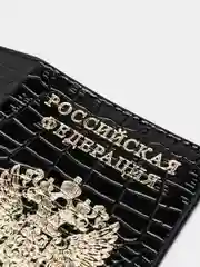 Обложка для паспорта "Под рептилию"