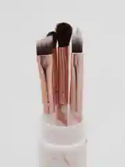 Бронзовый кисти для макияжа, 5 штук в футляре
