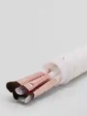 Бронзовый кисти для макияжа, 5 штук в футляре