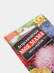 Семена цветов Астра "Моя Мама"
