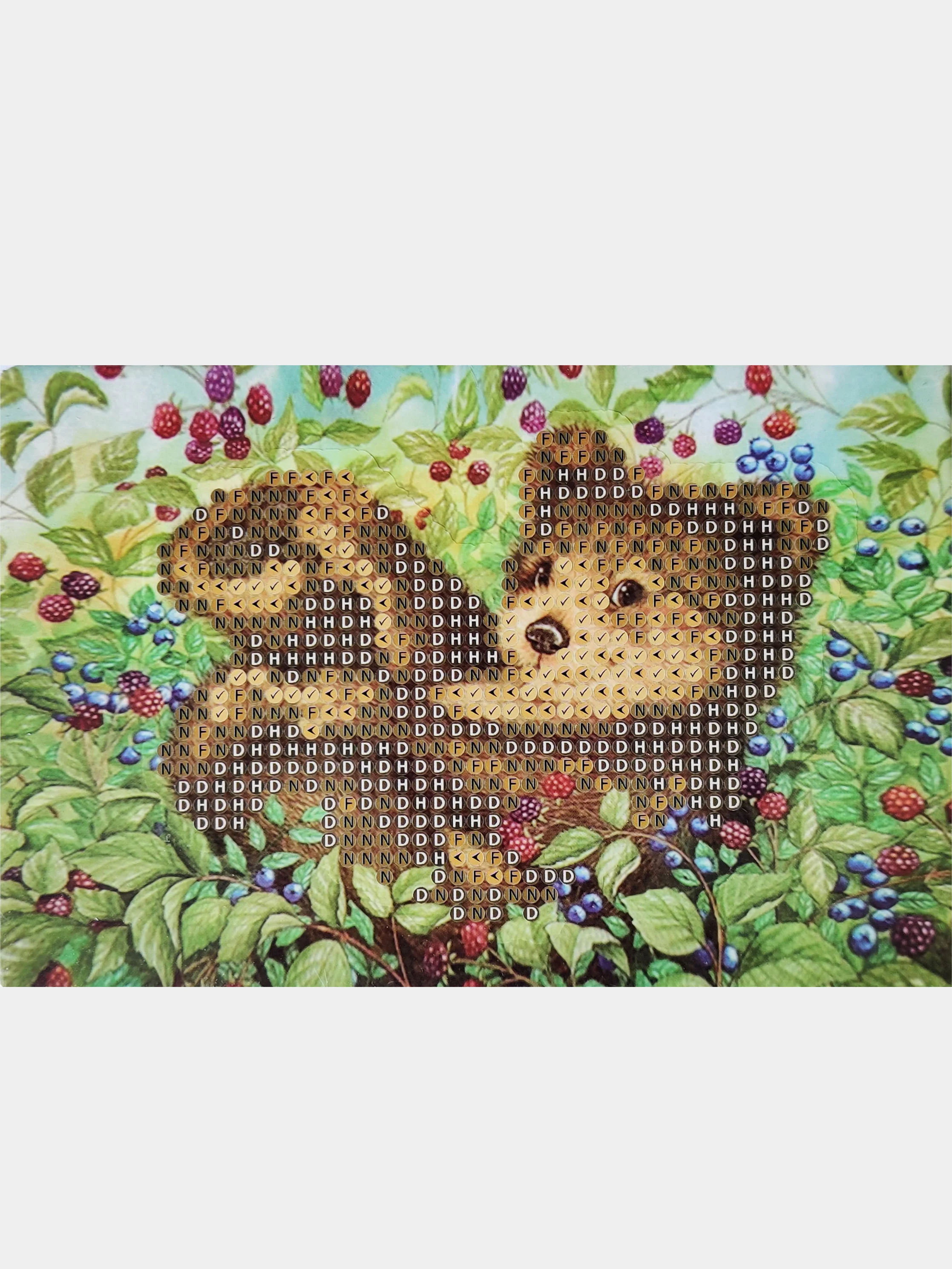 Алмазная мозаика, 10*15 см