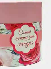 Розовый растущая трава в тубусе
