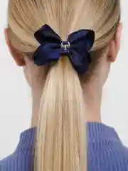 Синий резинки для волос, бант, 2 штуки