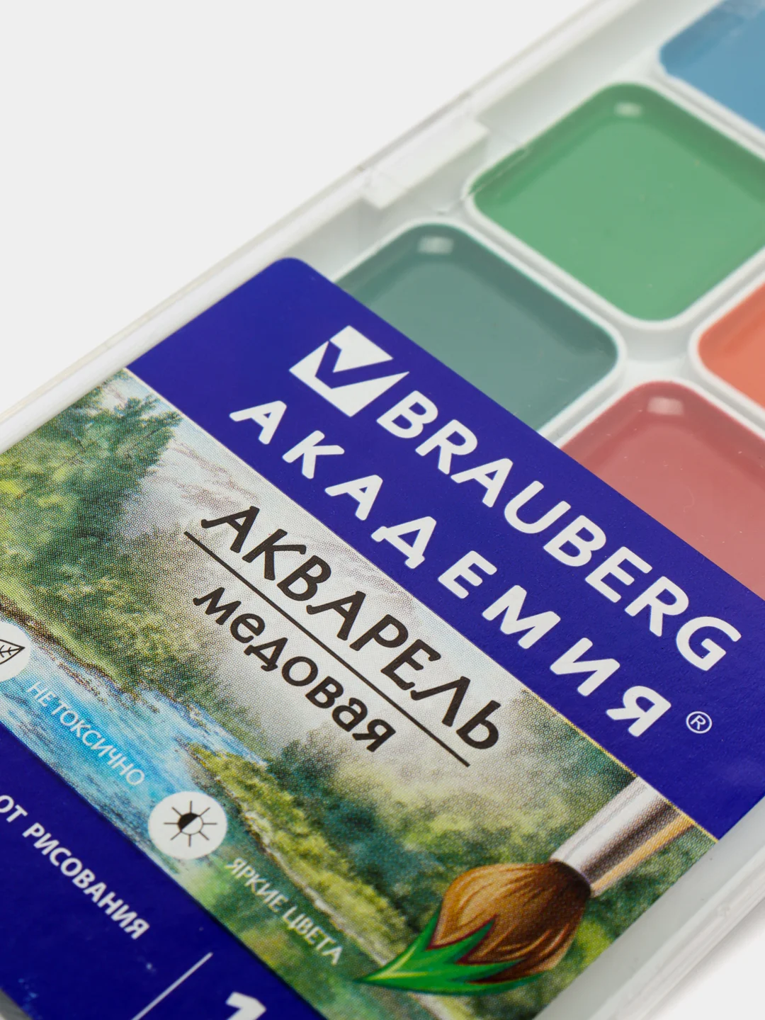 Краски акварельные BRAUBERG 12 цветов, медовые, квадратные кюветы, пластиковый пенал