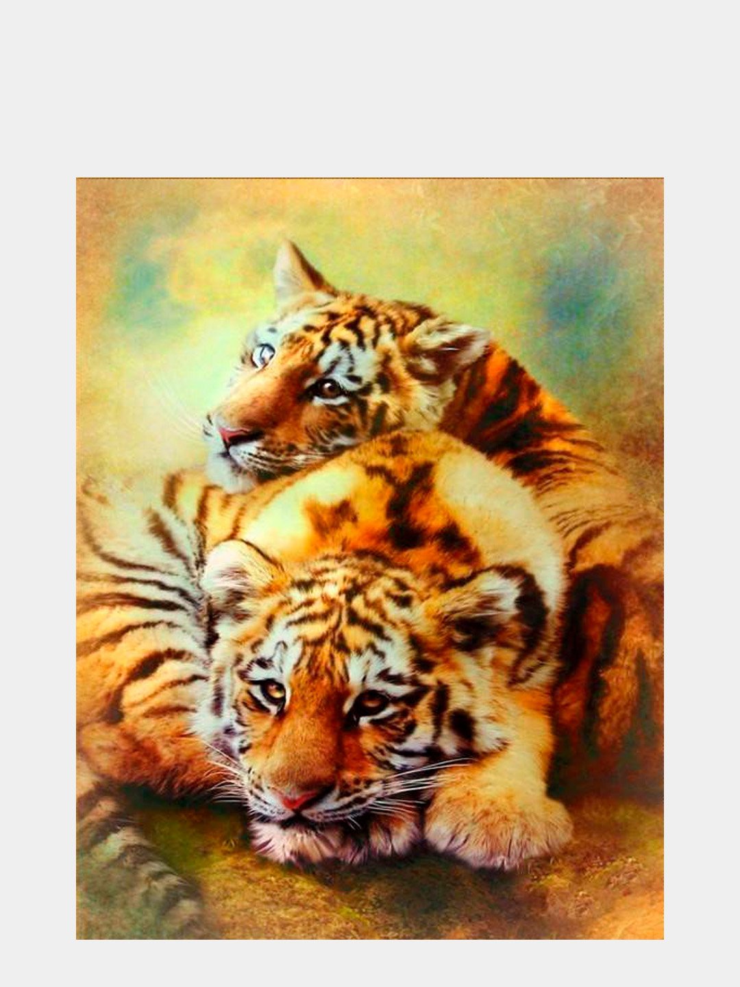 Бенгальский тигр () - Риолис - Животные - жк-вершина-сайт.рф