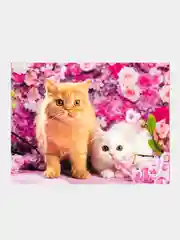Алый алмазная мозаика на подрамнике, 40*50 см, "Котики"