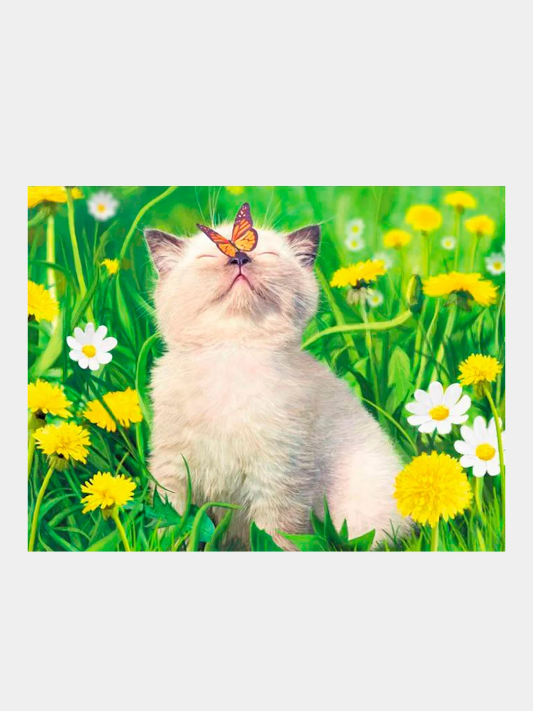 Бирюзовый алмазная мозаика на подрамнике, 40*50 см, "Котики"