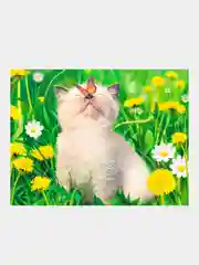 Бирюзовый алмазная мозаика на подрамнике, 40*50 см, "Котики"