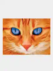 Серый алмазная мозаика на подрамнике, 40*50 см, "Котики"