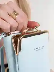 Голубой женская сумка-кошелек
