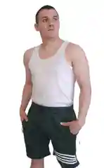 Мужские шорты
