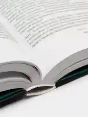 Дети мои, Гузель Яхина