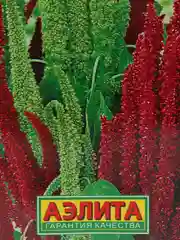 Семена Амарант "Изящный" смесь сортов набор 1, 3, 5 уп