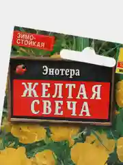 Семена Энотера  Желтая свеча  набор 1, 3, 5 уп