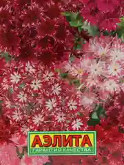 Семена Флокс смесь сортов "Звездный дождь" набор 1, 3, 5 уп
