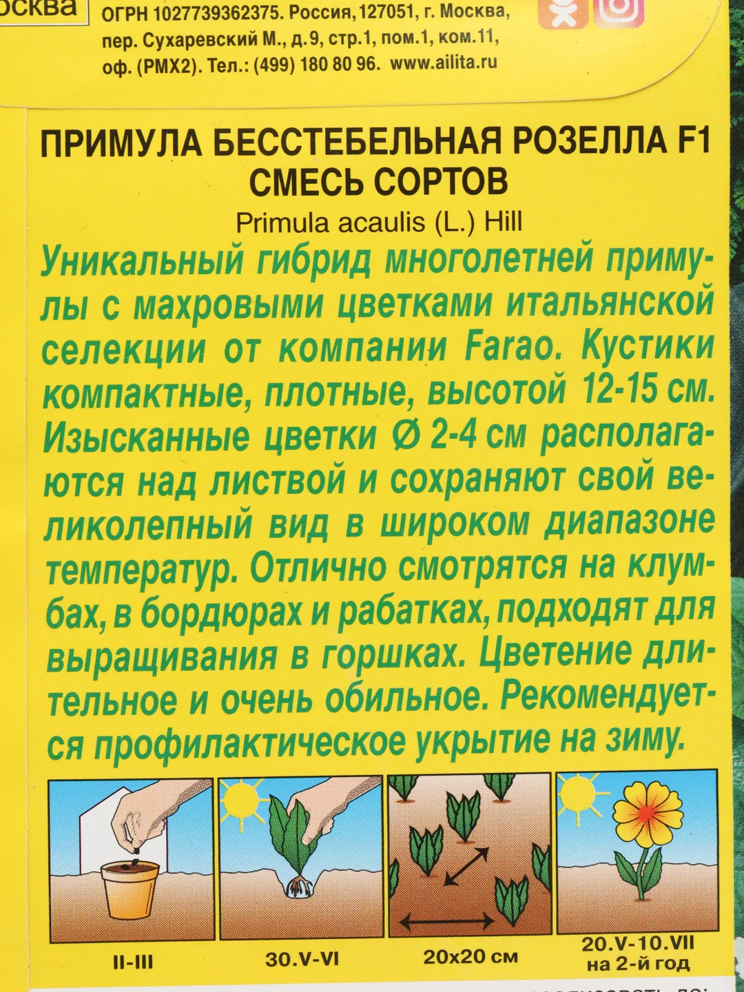 Примула "Розелла" (семена, цветы)
