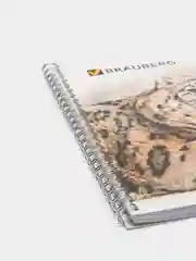 Альбом для рисования, А4, 40 листов, гребень, обложка картон, BRAUBERG, 205х290 мм