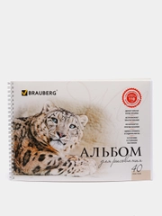 Альбом для рисования, А4, 40 листов, гребень, обложка картон, BRAUBERG, 205х290 мм