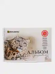 Альбом для рисования, А4, 40 листов, гребень, обложка картон, BRAUBERG, 205х290 мм
