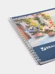 Альбом для рисования BRAUBERG, А4, 40 листов, гребень, обложка картон