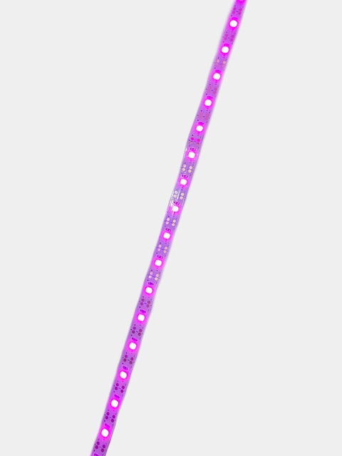 Где Можно В Москве Купить Фитоленту Оптом