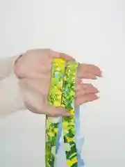 Голубой хозяйственные сумки