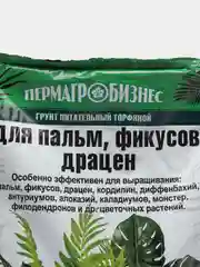 Грунт питательный торфяной для пальм, фикусов, драцен, 5 л