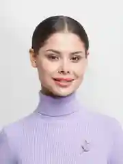 Брошь "Собака, Кошка, Божья коровка, Дельфин со стразами, брошь врача, Балерина, Мишки"