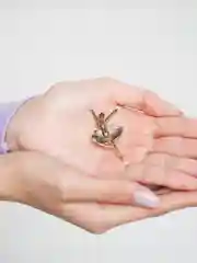 Брошь "Собака, Кошка, Божья коровка, Дельфин со стразами, брошь врача, Балерина, Мишки"