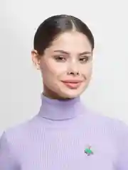 Брошь "Собака, Кошка, Божья коровка, Дельфин со стразами, брошь врача, Балерина, Мишки"